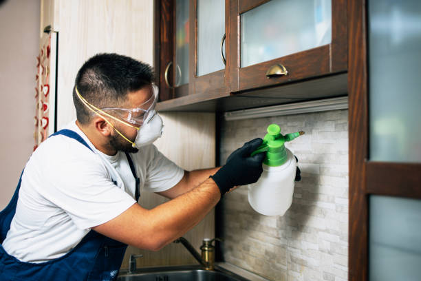 Best Exterminator Services  in Rochester, MN