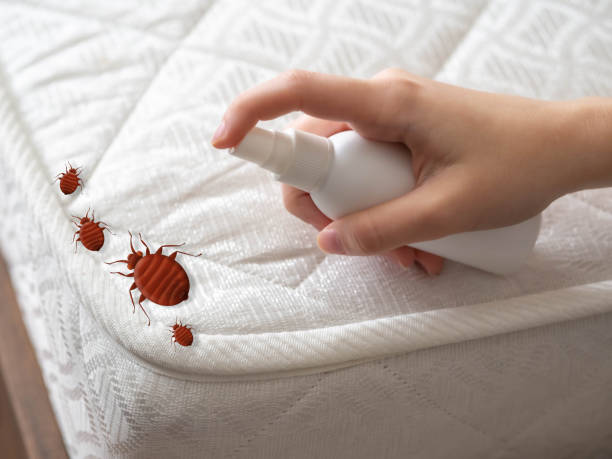 Best Pest Prevention Services  in Rochester, MN