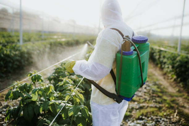 Best Residential Pest Control  in Rochester, MN